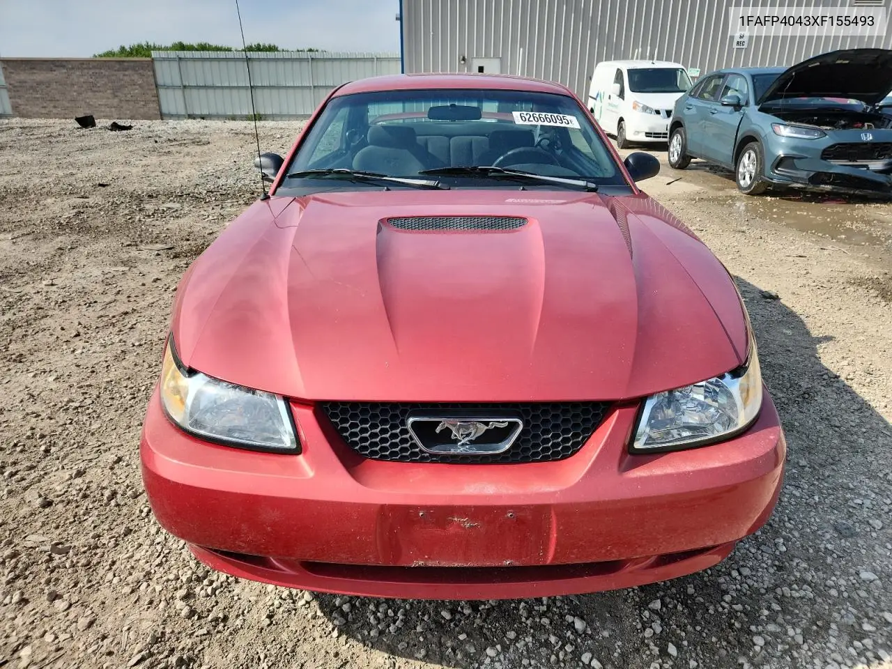 1999 Ford Mustang VIN: 1FAFP4043XF155493 Lot: 62666095