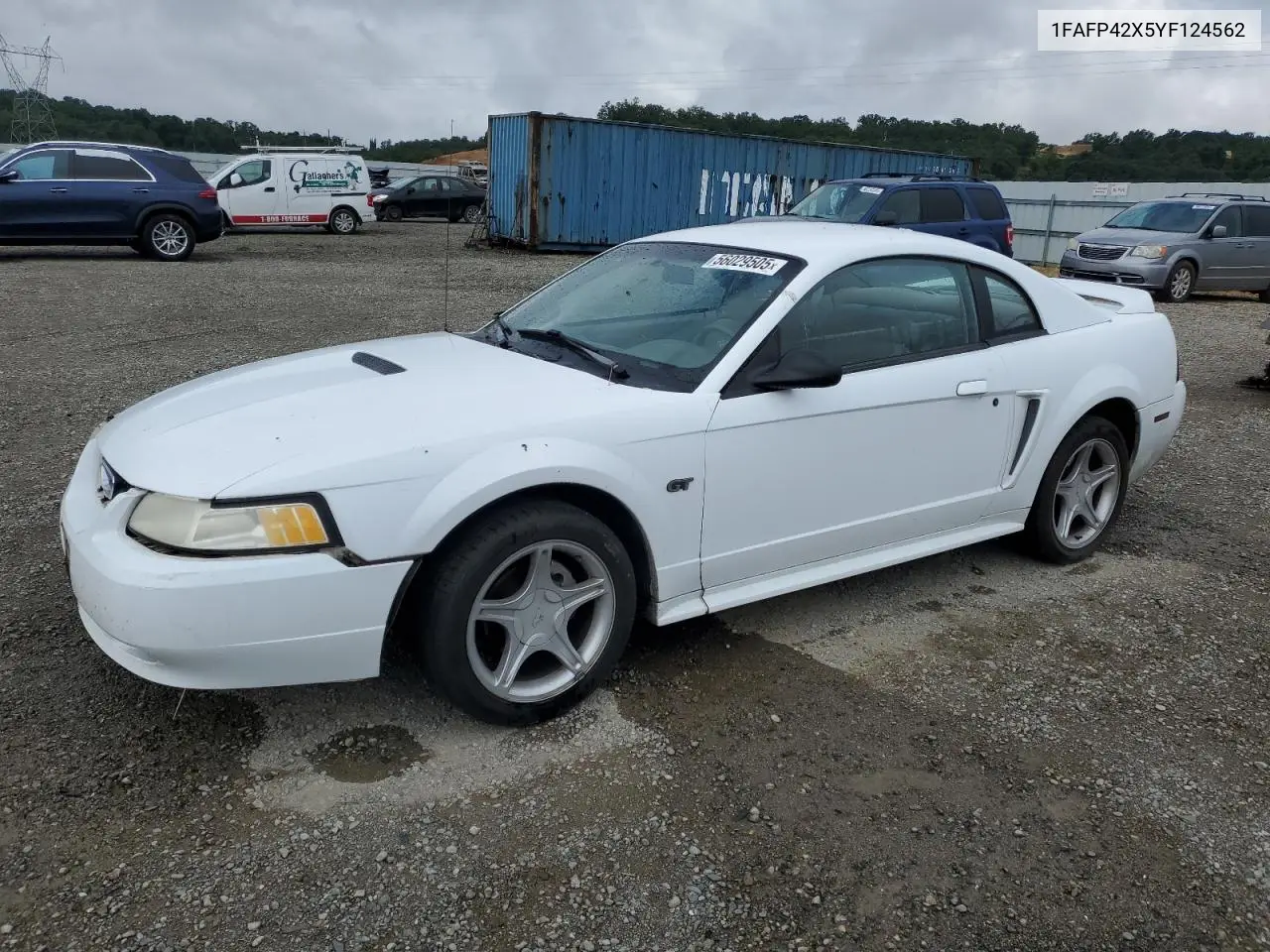 2000 Ford Mustang Gt VIN: 1FAFP42X5YF124562 Lot: 56029505