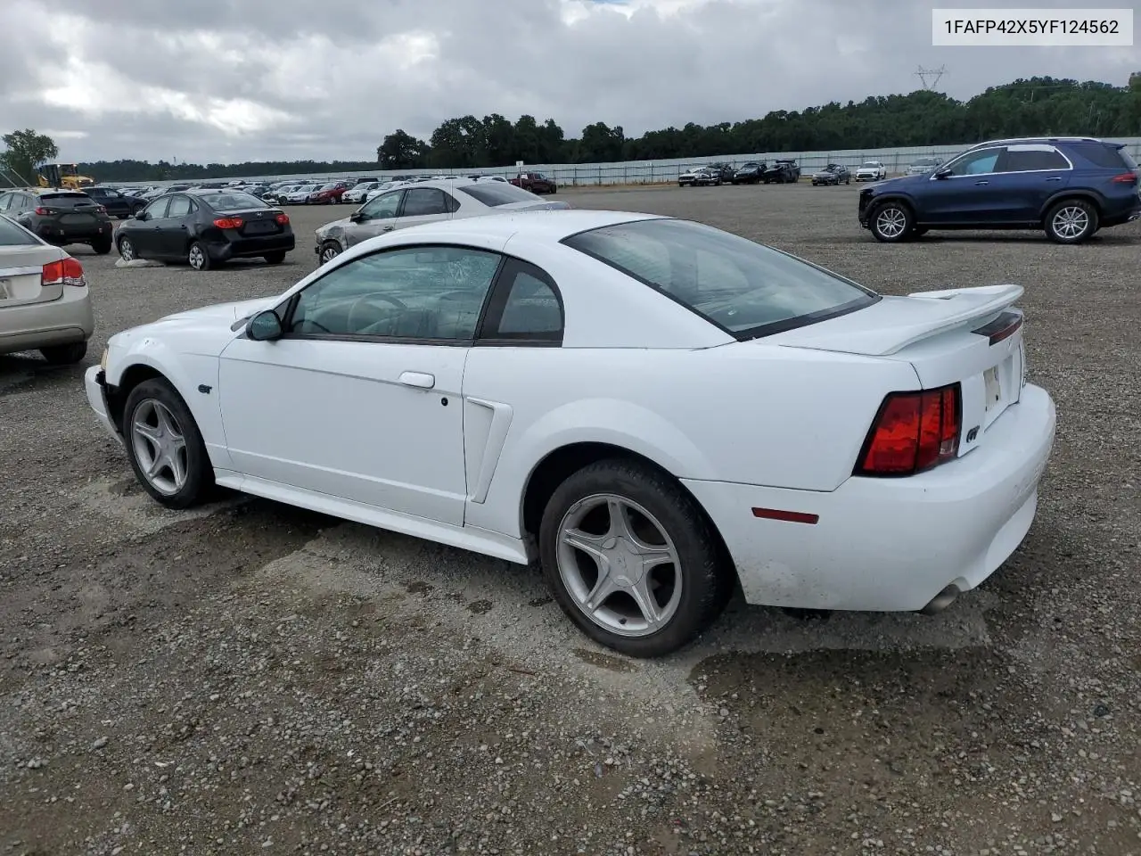 2000 Ford Mustang Gt VIN: 1FAFP42X5YF124562 Lot: 56029505
