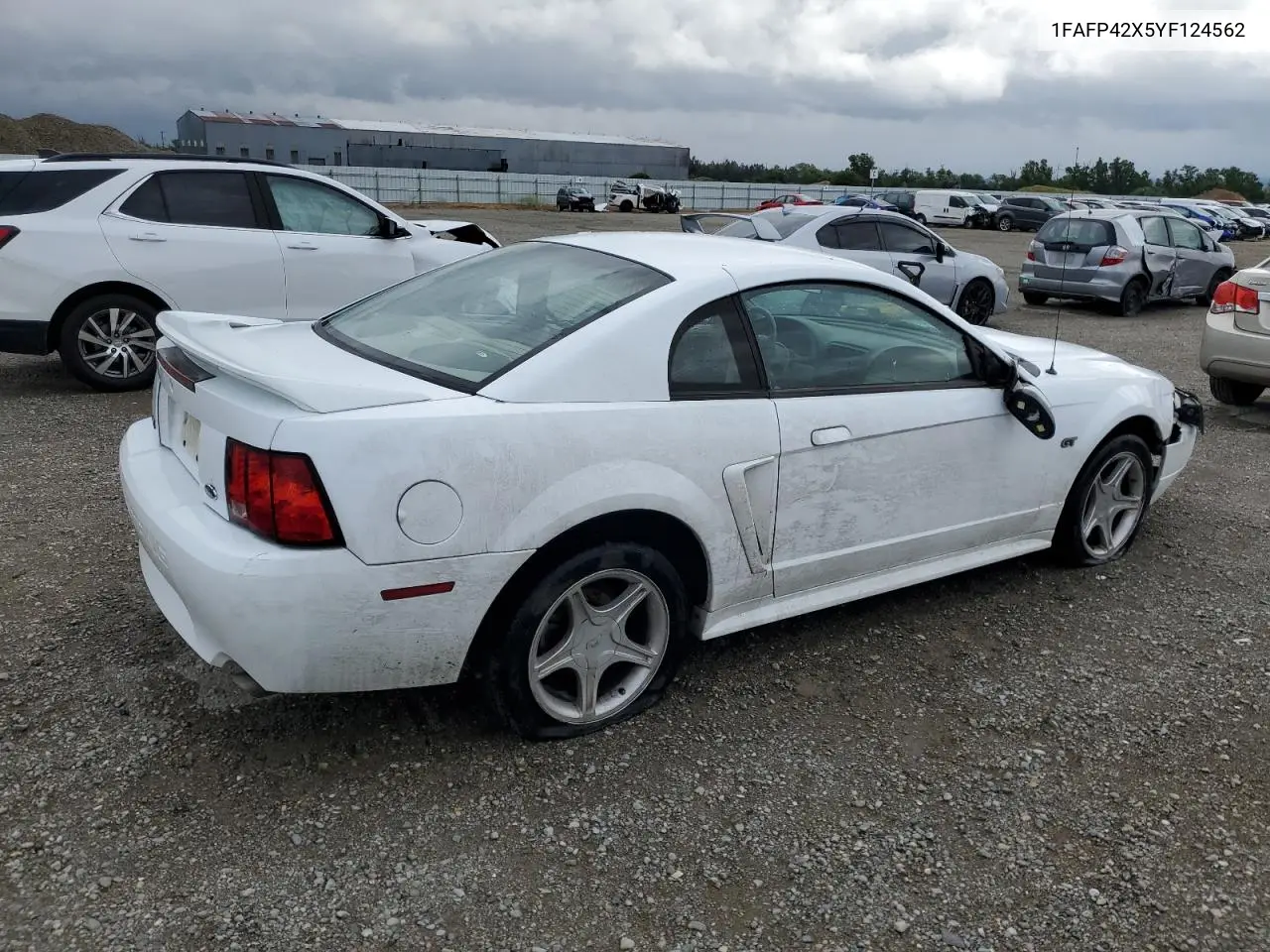 2000 Ford Mustang Gt VIN: 1FAFP42X5YF124562 Lot: 56029505