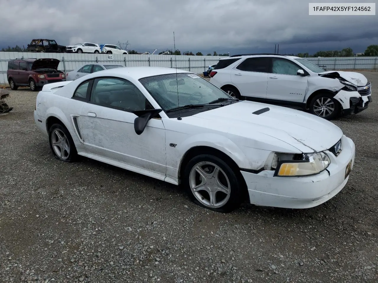 2000 Ford Mustang Gt VIN: 1FAFP42X5YF124562 Lot: 56029505