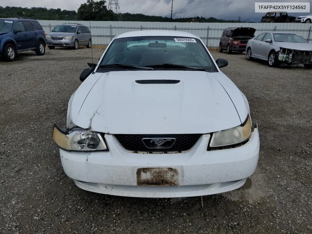 2000 Ford Mustang Gt VIN: 1FAFP42X5YF124562 Lot: 56029505