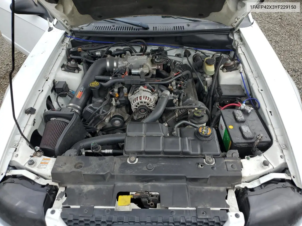 2000 Ford Mustang Gt VIN: 1FAFP42X3YF229150 Lot: 56797855