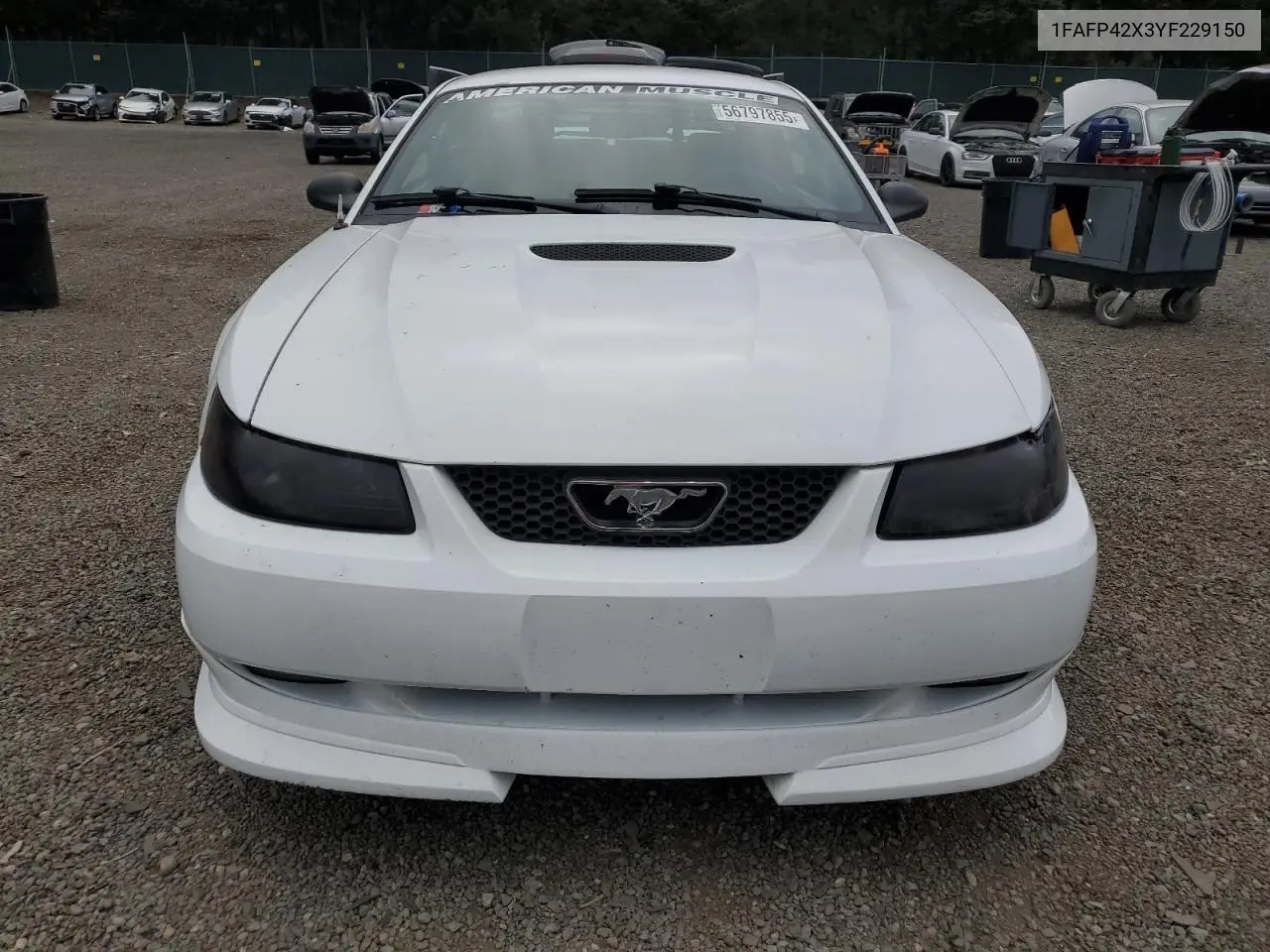 2000 Ford Mustang Gt VIN: 1FAFP42X3YF229150 Lot: 56797855
