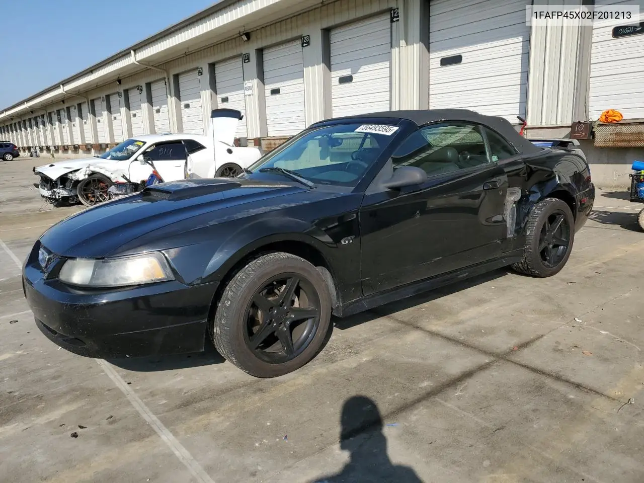 2002 Ford Mustang Gt VIN: 1FAFP45X02F201213 Lot: 56493595