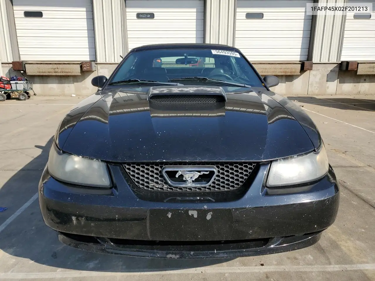 2002 Ford Mustang Gt VIN: 1FAFP45X02F201213 Lot: 56493595