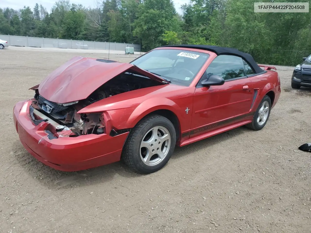 2002 Ford Mustang VIN: 1FAFP44422F204508 Lot: 61909545