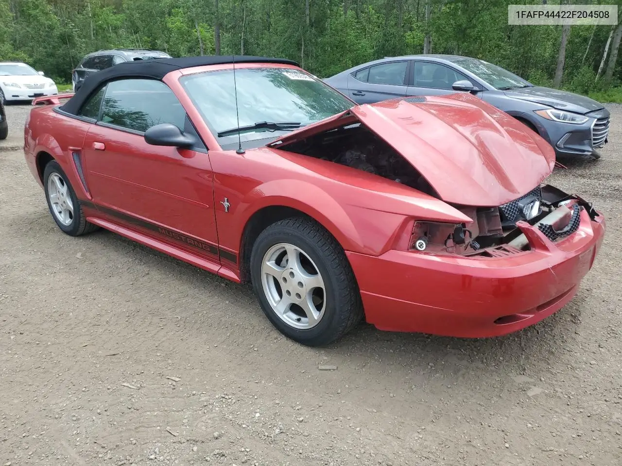 2002 Ford Mustang VIN: 1FAFP44422F204508 Lot: 61909545