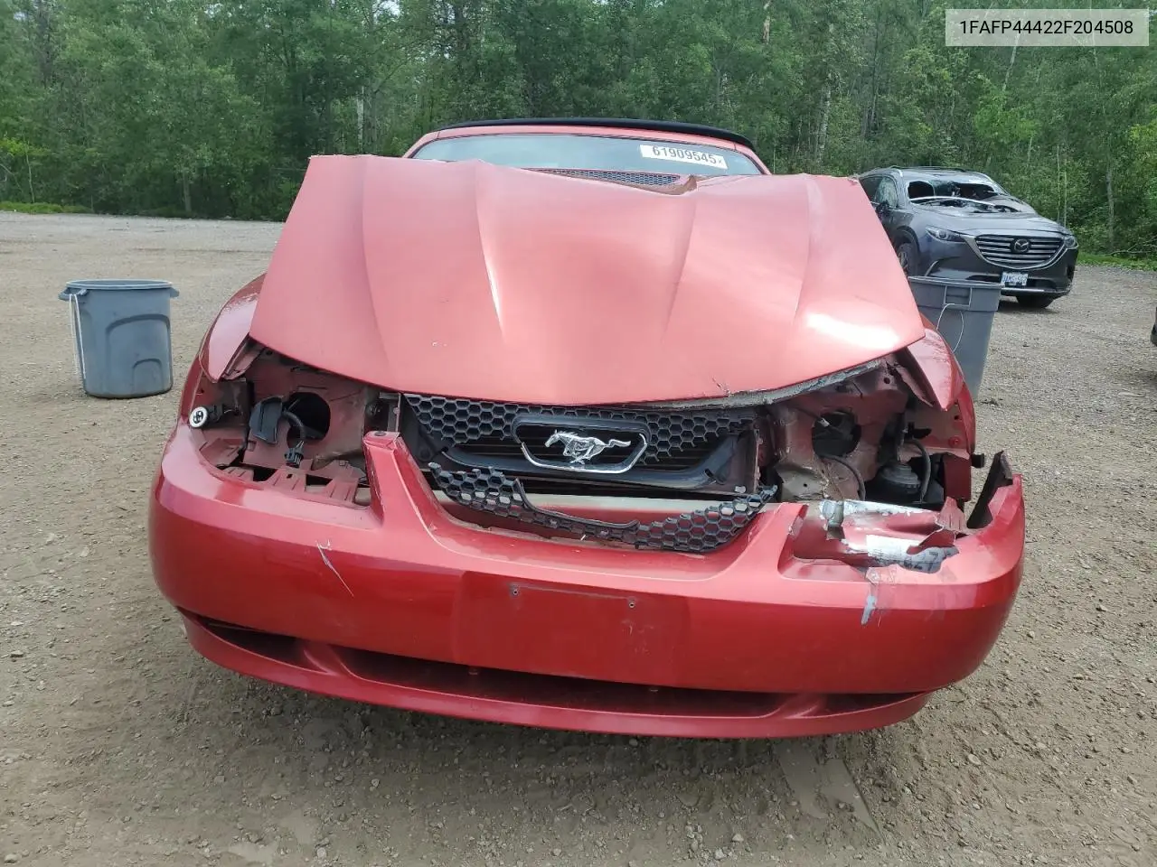2002 Ford Mustang VIN: 1FAFP44422F204508 Lot: 61909545