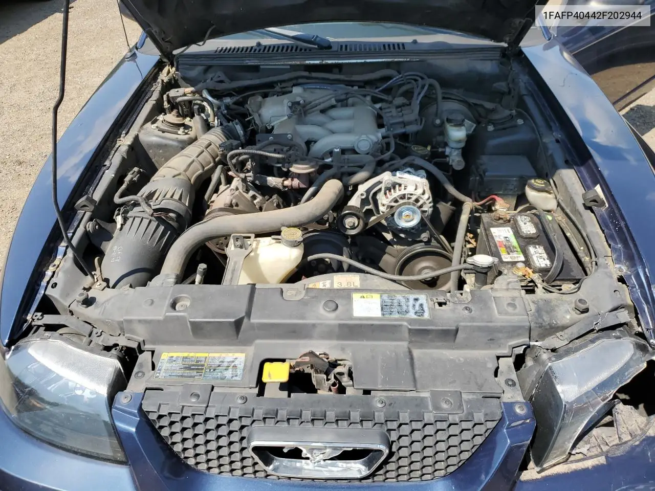2002 Ford Mustang VIN: 1FAFP40442F202944 Lot: 62178415