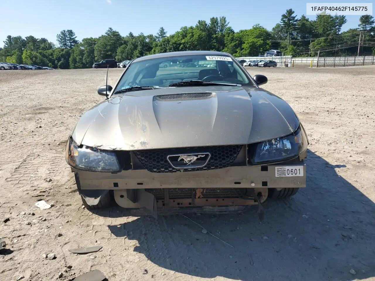 2002 Ford Mustang VIN: 1FAFP40462F145775 Lot: 62979925