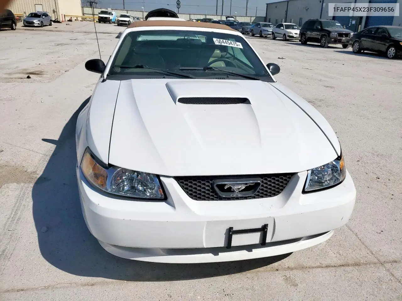 2003 Ford Mustang Gt VIN: 1FAFP45X23F309656 Lot: 50445475