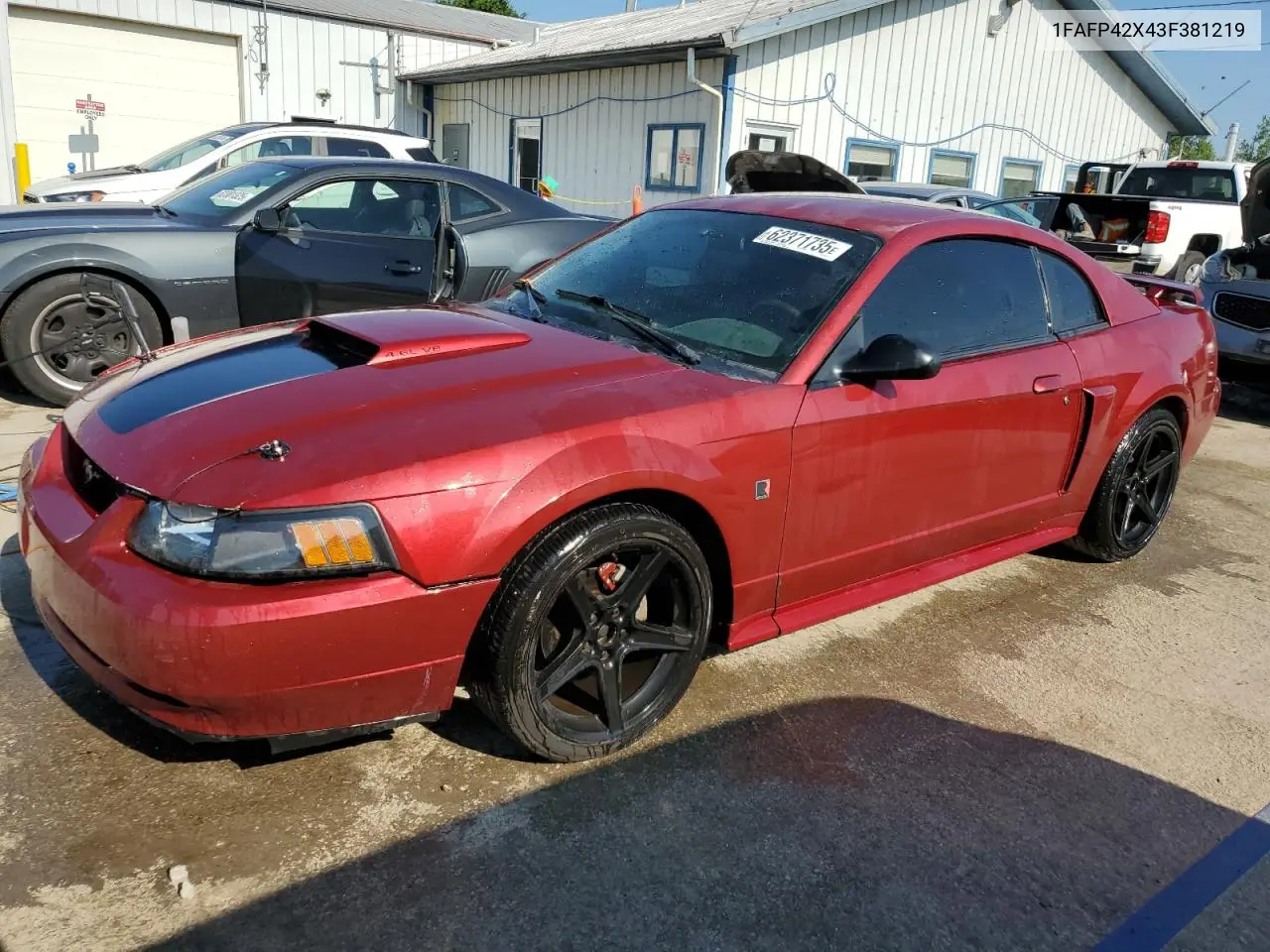 2003 Ford Mustang Gt VIN: 1FAFP42X43F381219 Lot: 62371735
