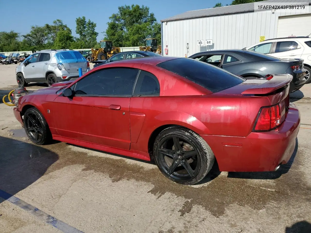 2003 Ford Mustang Gt VIN: 1FAFP42X43F381219 Lot: 62371735