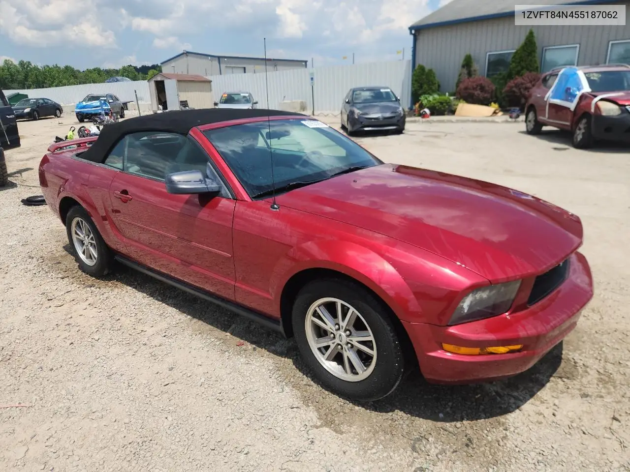 2005 Ford Mustang VIN: 1ZVFT84N455187062 Lot: 61953205