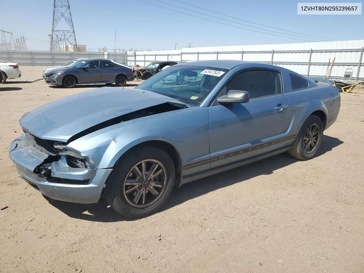 2005 Ford Mustang VIN: 1ZVHT80N255239657 Lot: 62947545