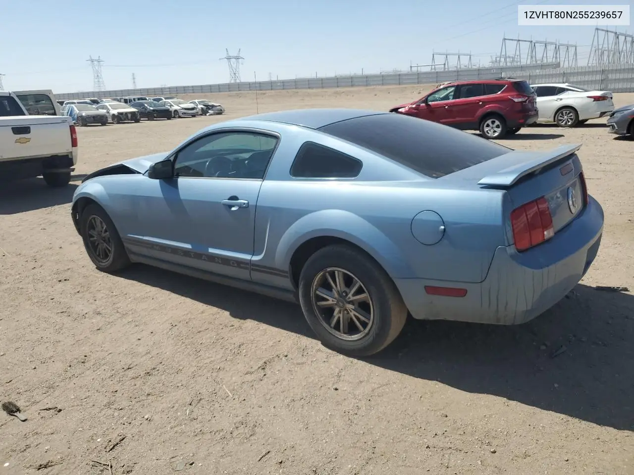 2005 Ford Mustang VIN: 1ZVHT80N255239657 Lot: 62947545
