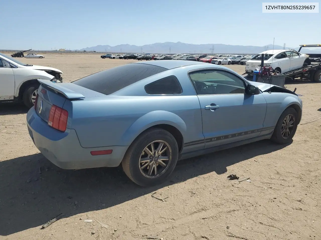 2005 Ford Mustang VIN: 1ZVHT80N255239657 Lot: 62947545