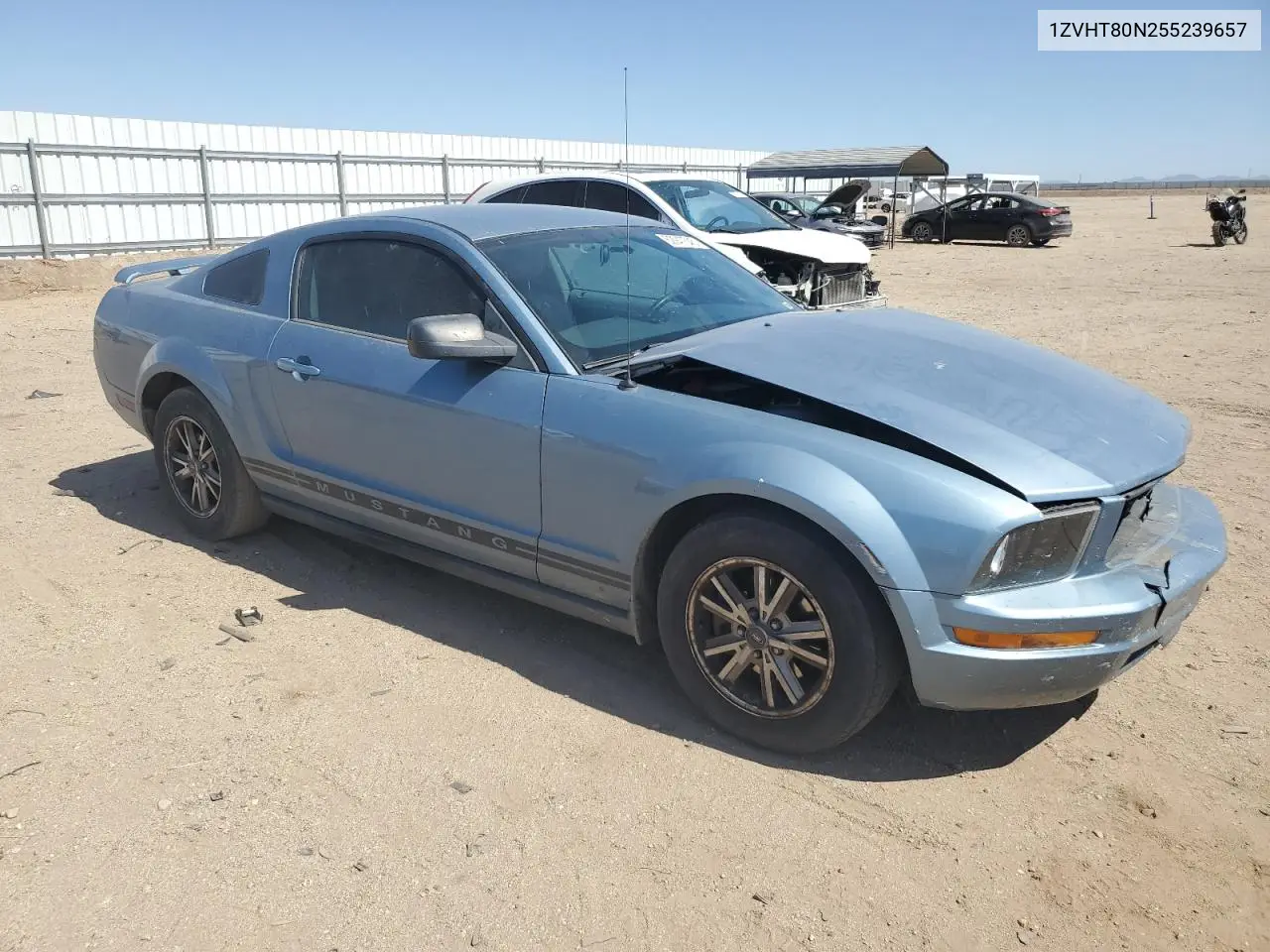 2005 Ford Mustang VIN: 1ZVHT80N255239657 Lot: 62947545
