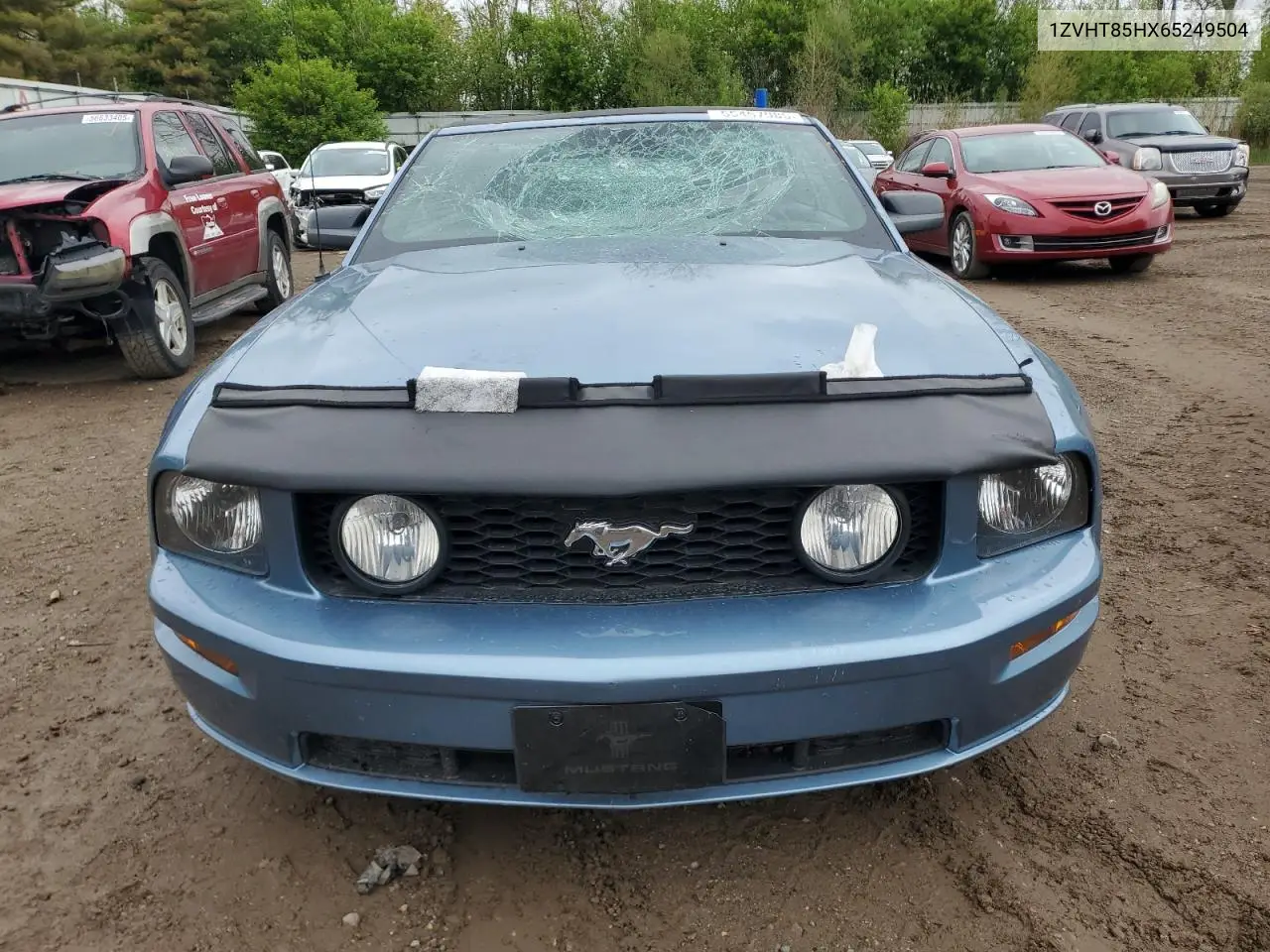 2006 Ford Mustang Gt VIN: 1ZVHT85HX65249504 Lot: 55457985