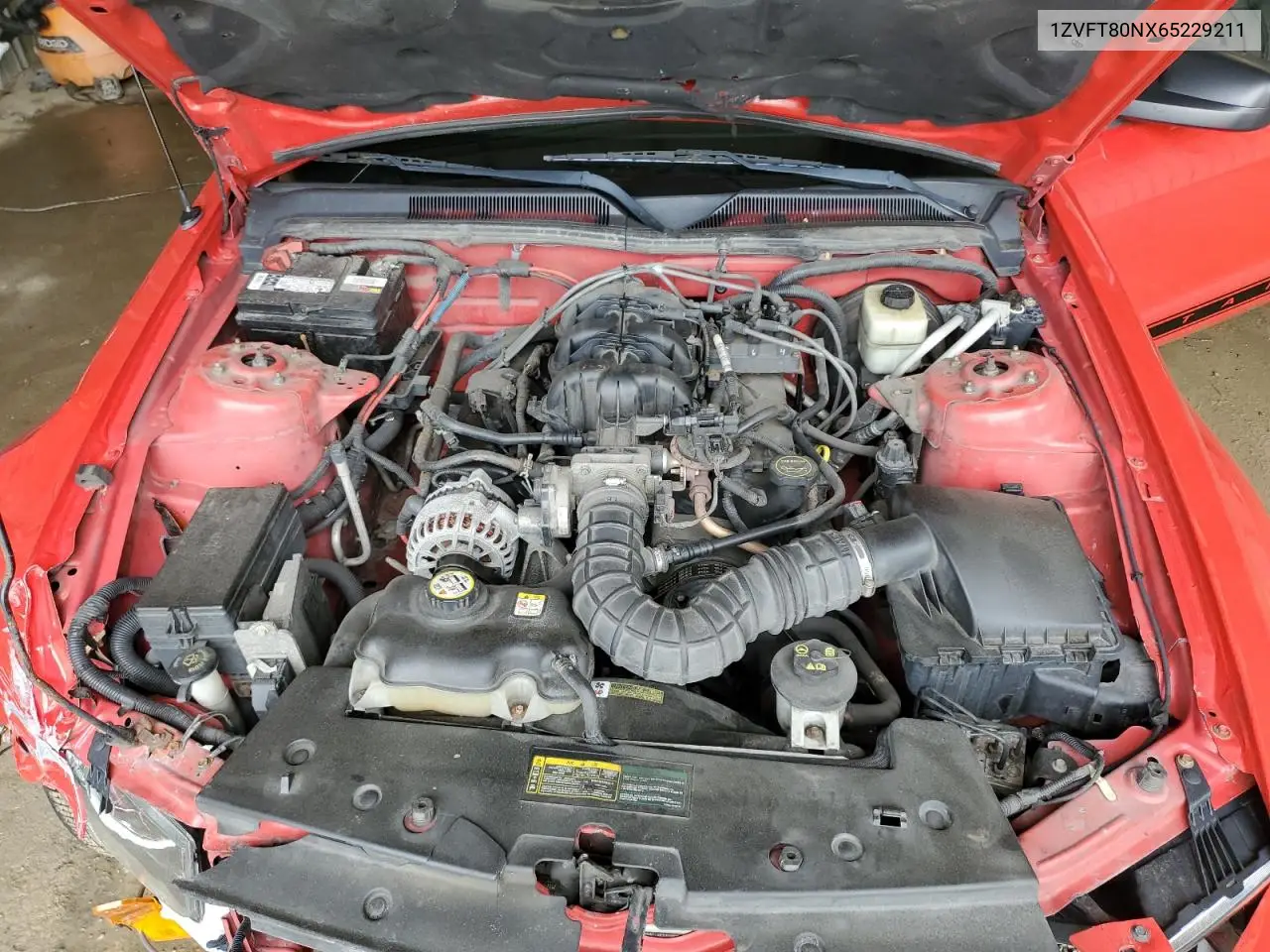 2006 Ford Mustang VIN: 1ZVFT80NX65229211 Lot: 56714655