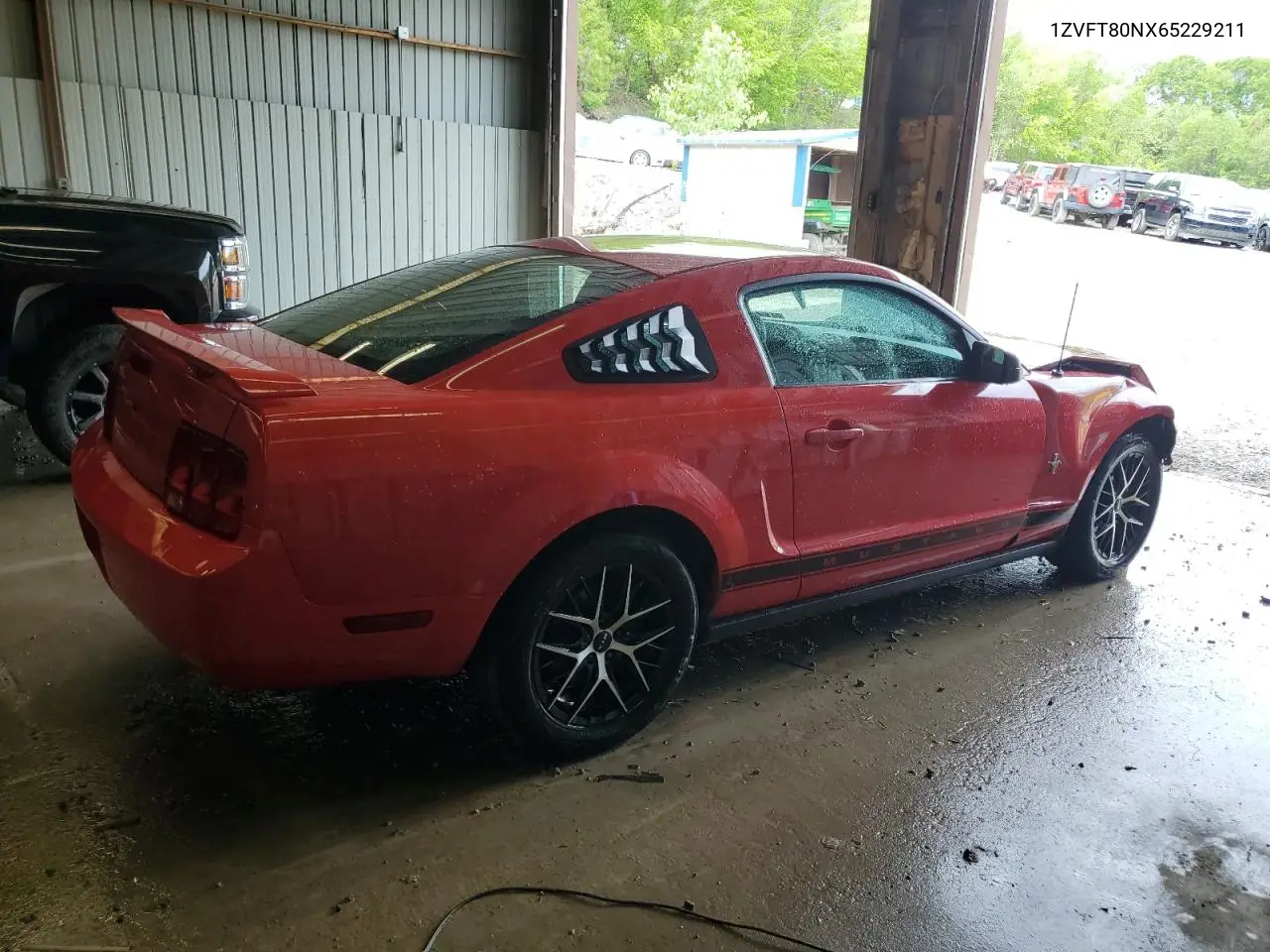 2006 Ford Mustang VIN: 1ZVFT80NX65229211 Lot: 56714655
