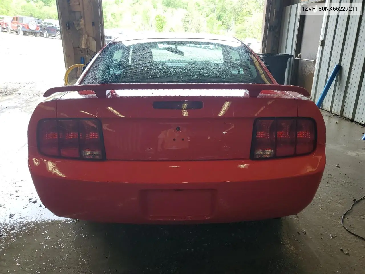 2006 Ford Mustang VIN: 1ZVFT80NX65229211 Lot: 56714655
