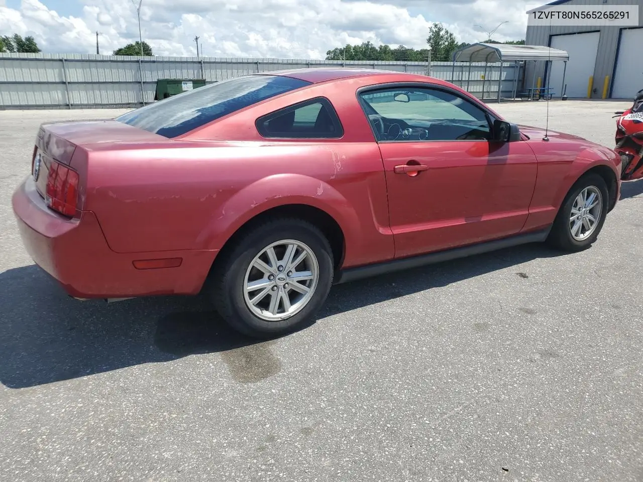 2006 Ford Mustang VIN: 1ZVFT80N565265291 Lot: 56913655