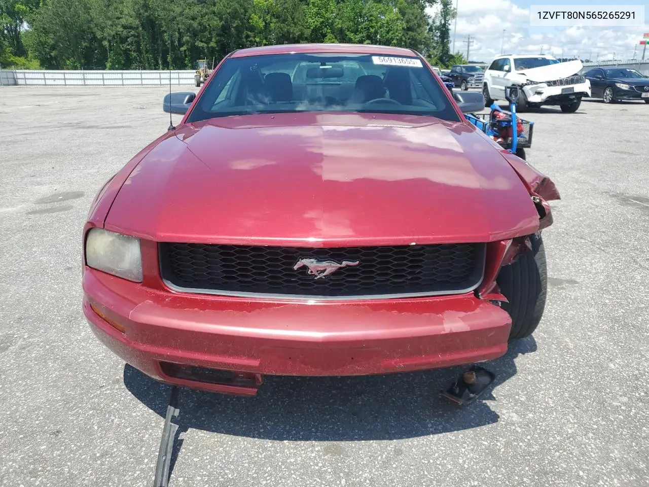 2006 Ford Mustang VIN: 1ZVFT80N565265291 Lot: 56913655