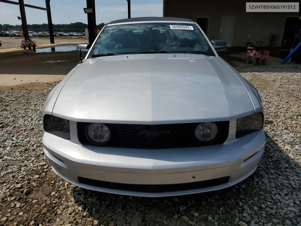 2006 Ford Mustang Gt VIN: 1ZVHT85H365191512 Lot: 56995045