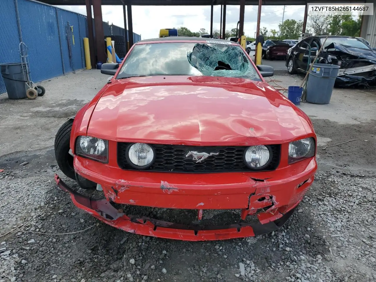 2006 Ford Mustang Gt VIN: 1ZVFT85H265144687 Lot: 58909745