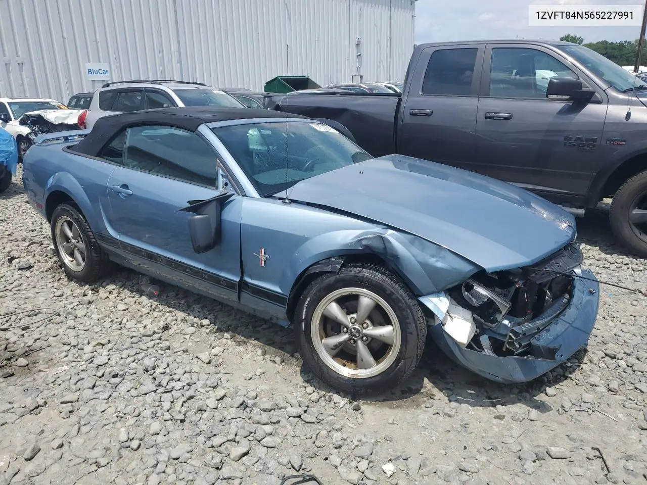 2006 Ford Mustang VIN: 1ZVFT84N565227991 Lot: 62309045