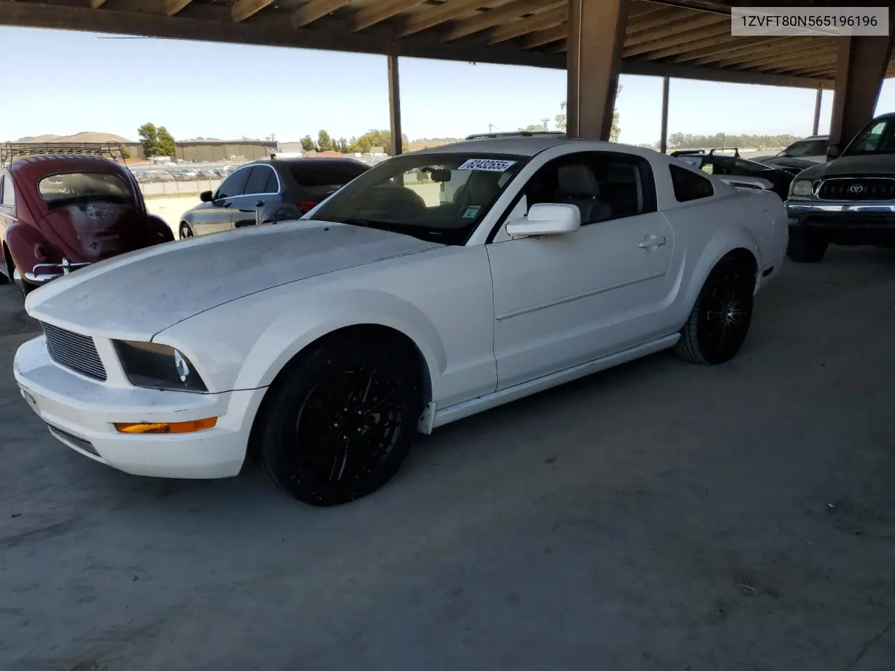 2006 Ford Mustang VIN: 1ZVFT80N565196196 Lot: 62432655