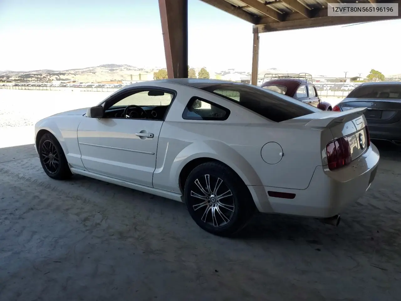 2006 Ford Mustang VIN: 1ZVFT80N565196196 Lot: 62432655