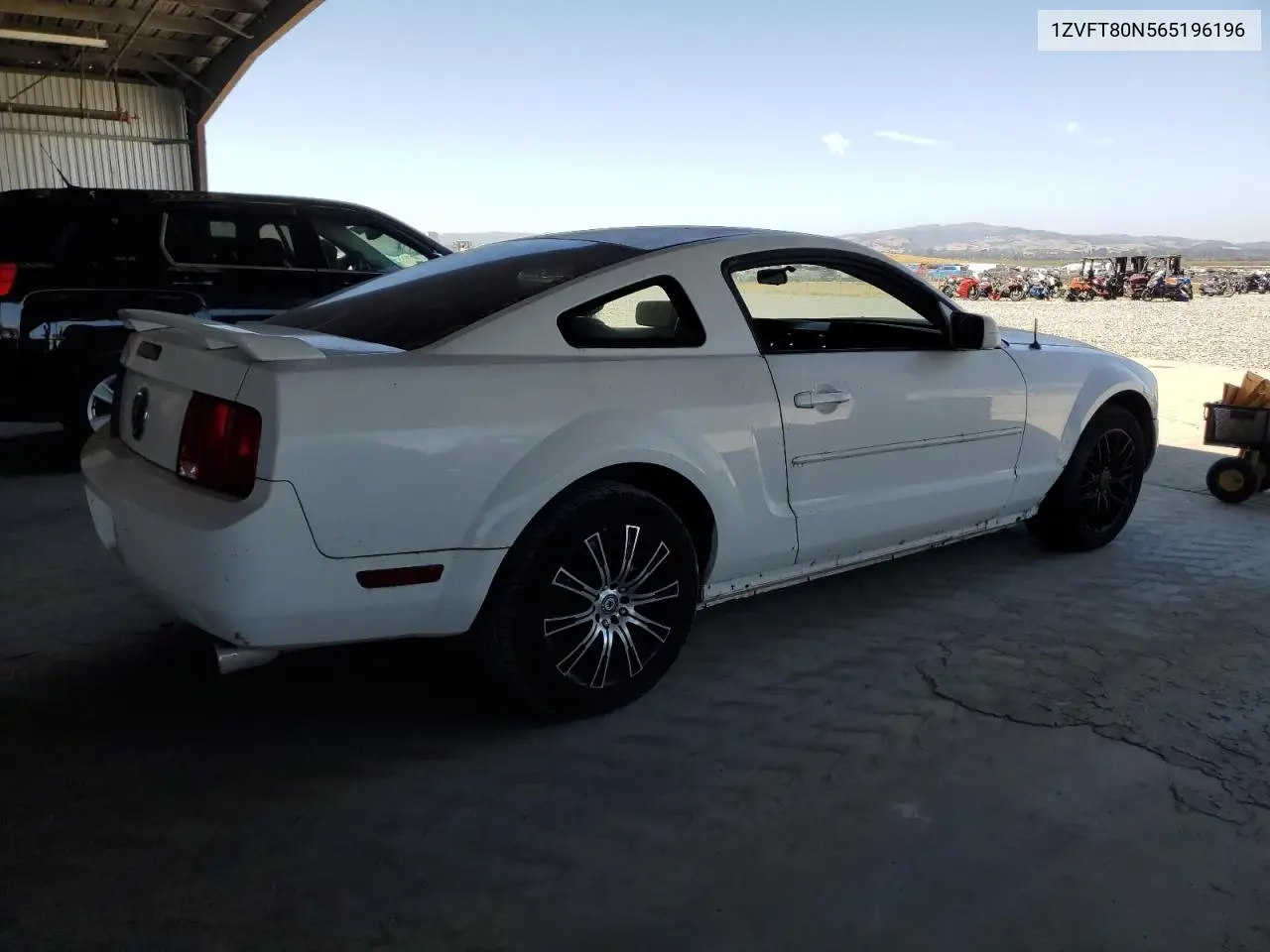 2006 Ford Mustang VIN: 1ZVFT80N565196196 Lot: 62432655
