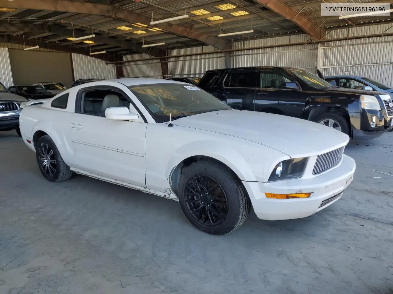 2006 Ford Mustang VIN: 1ZVFT80N565196196 Lot: 62432655