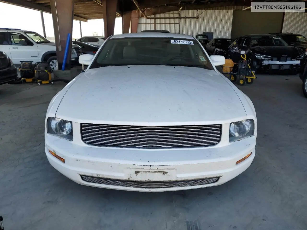 2006 Ford Mustang VIN: 1ZVFT80N565196196 Lot: 62432655