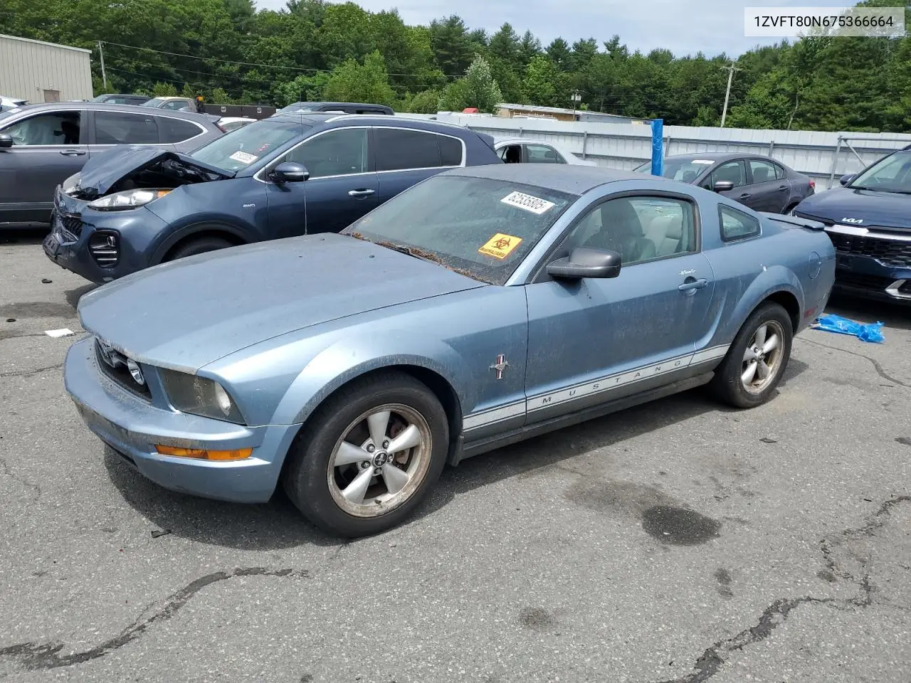 2007 Ford Mustang VIN: 1ZVFT80N675366664 Lot: 62535805