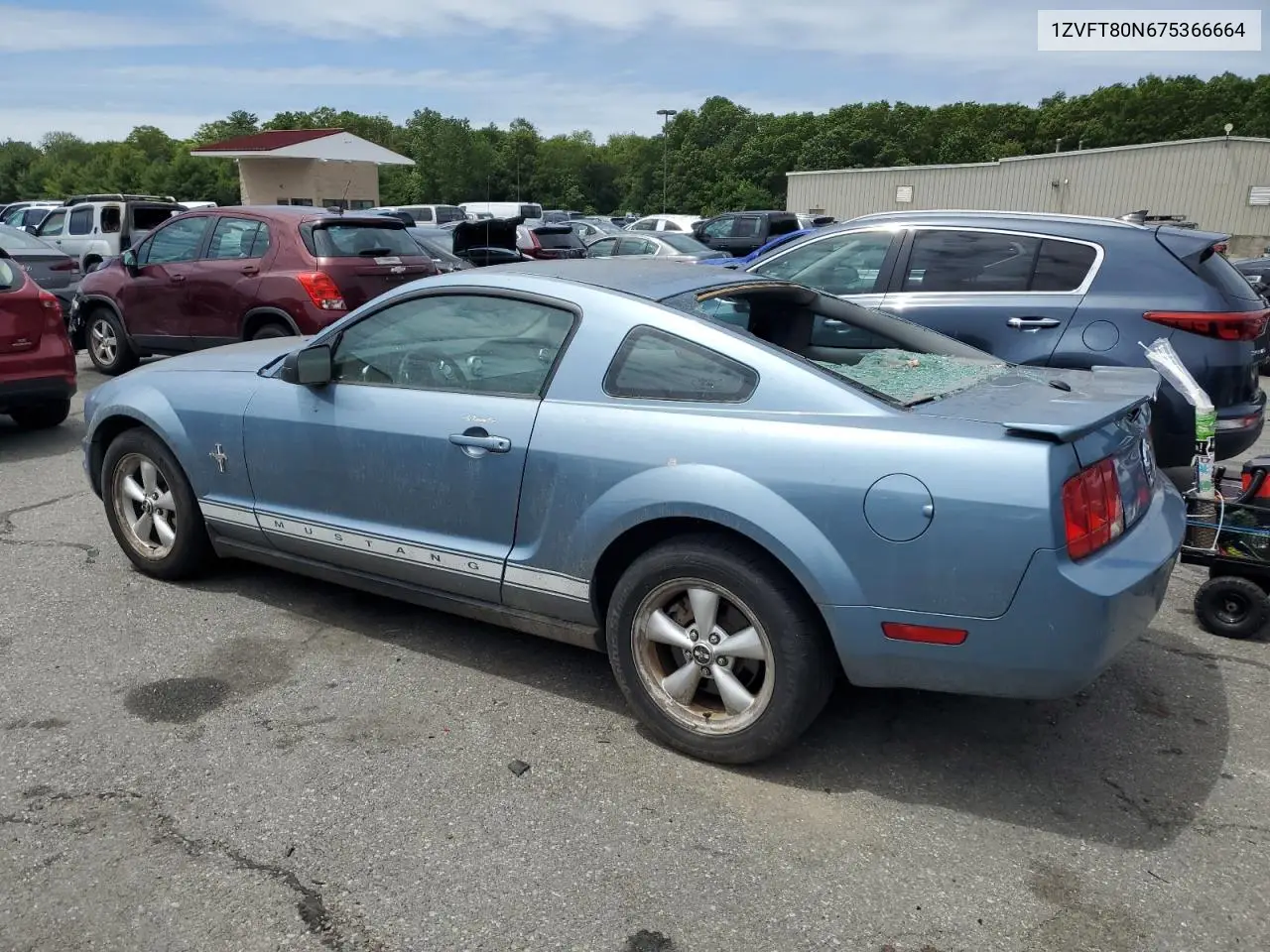 2007 Ford Mustang VIN: 1ZVFT80N675366664 Lot: 62535805