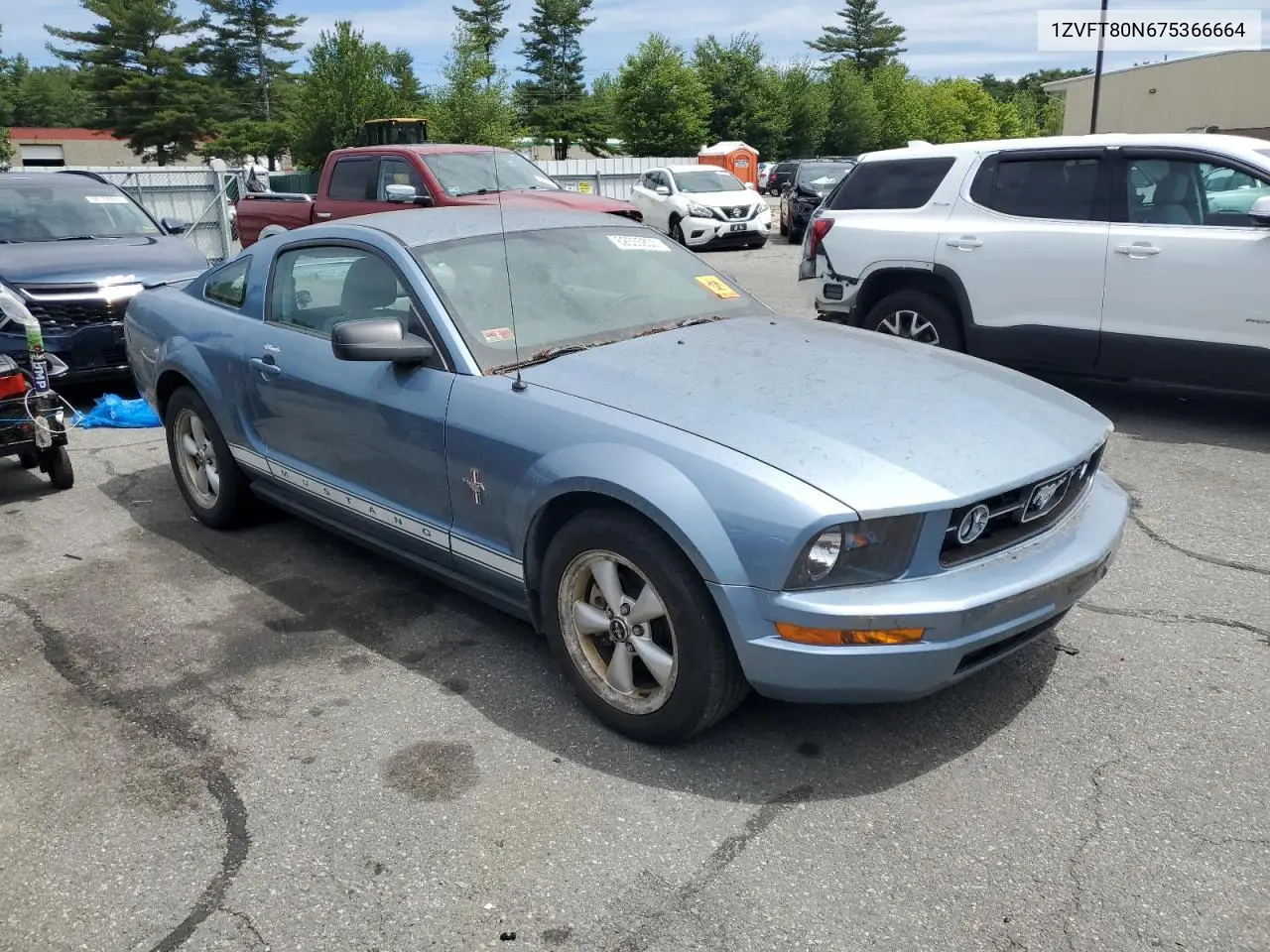 2007 Ford Mustang VIN: 1ZVFT80N675366664 Lot: 62535805