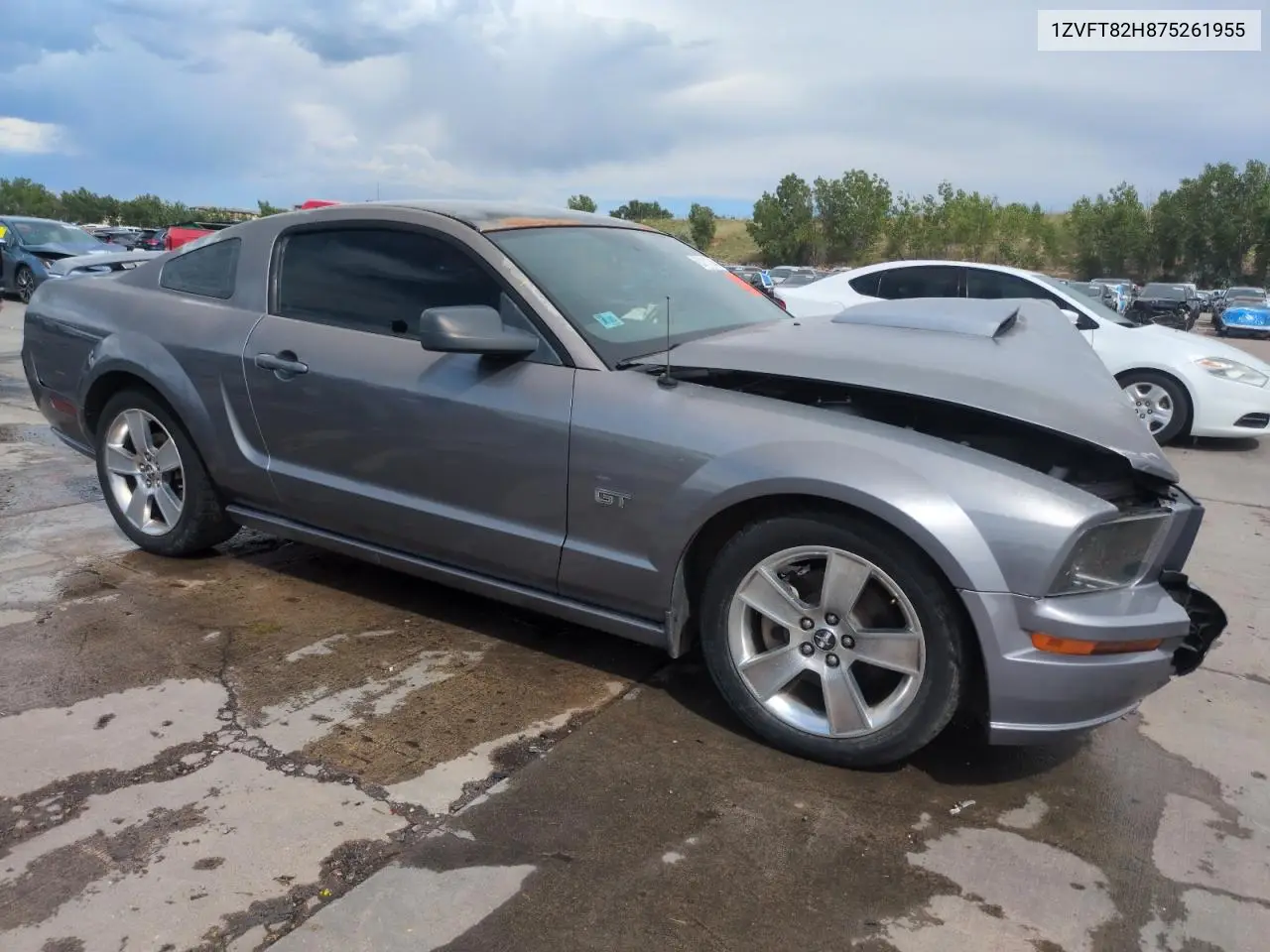 2007 Ford Mustang Gt VIN: 1ZVFT82H875261955 Lot: 63111745