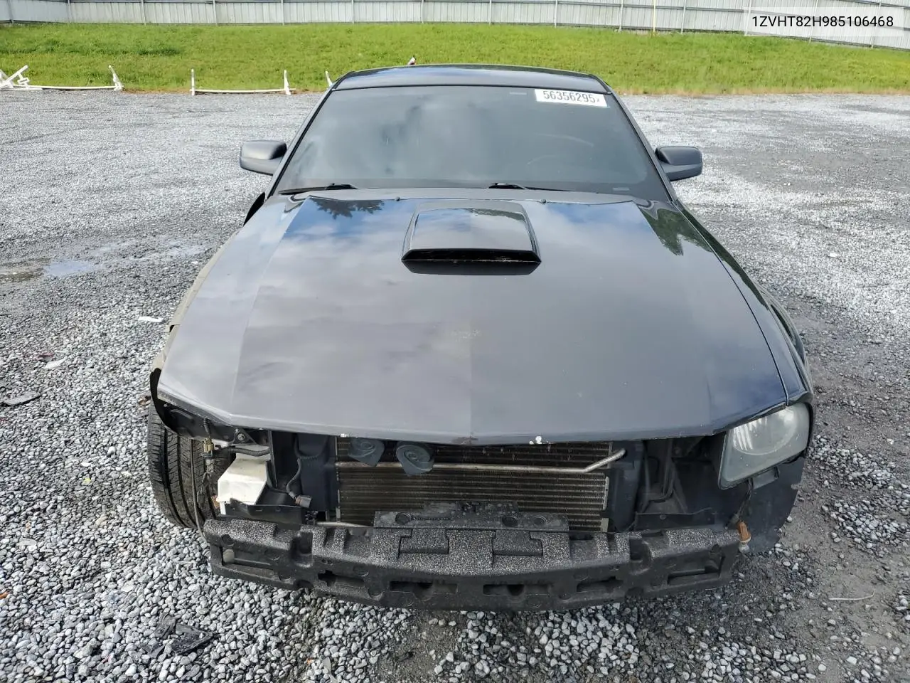 2008 Ford Mustang Gt VIN: 1ZVHT82H985106468 Lot: 56356295