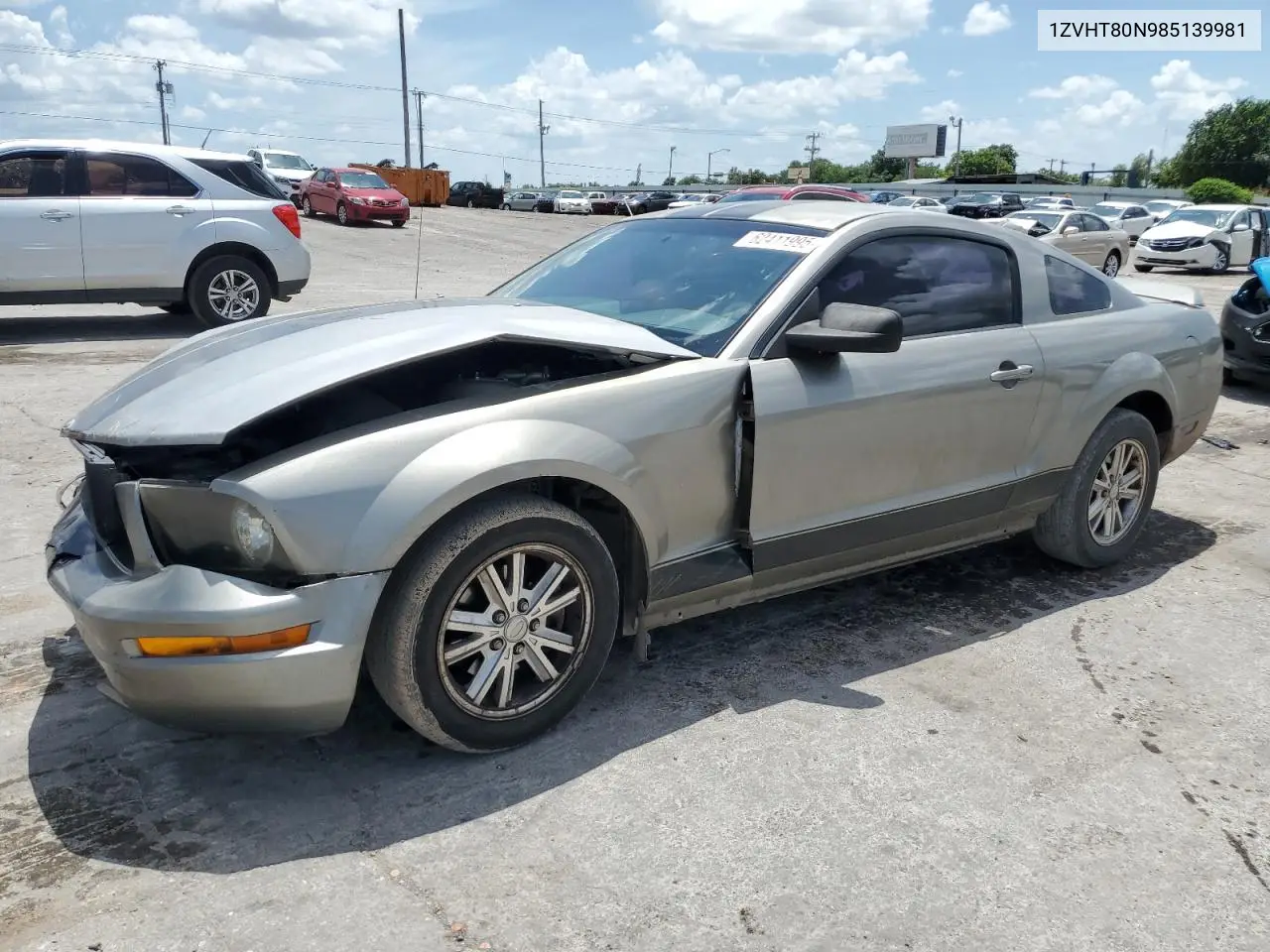 2008 Ford Mustang VIN: 1ZVHT80N985139981 Lot: 62411995