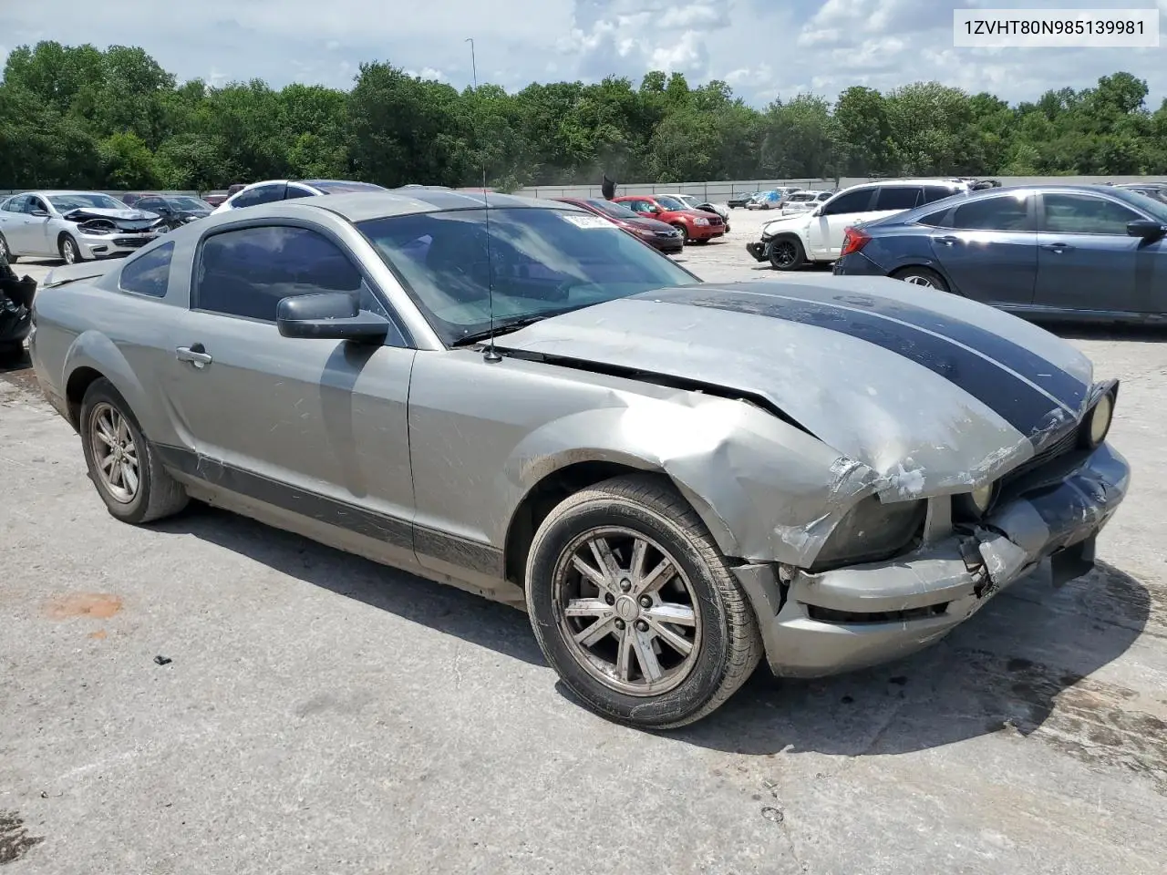 2008 Ford Mustang VIN: 1ZVHT80N985139981 Lot: 62411995