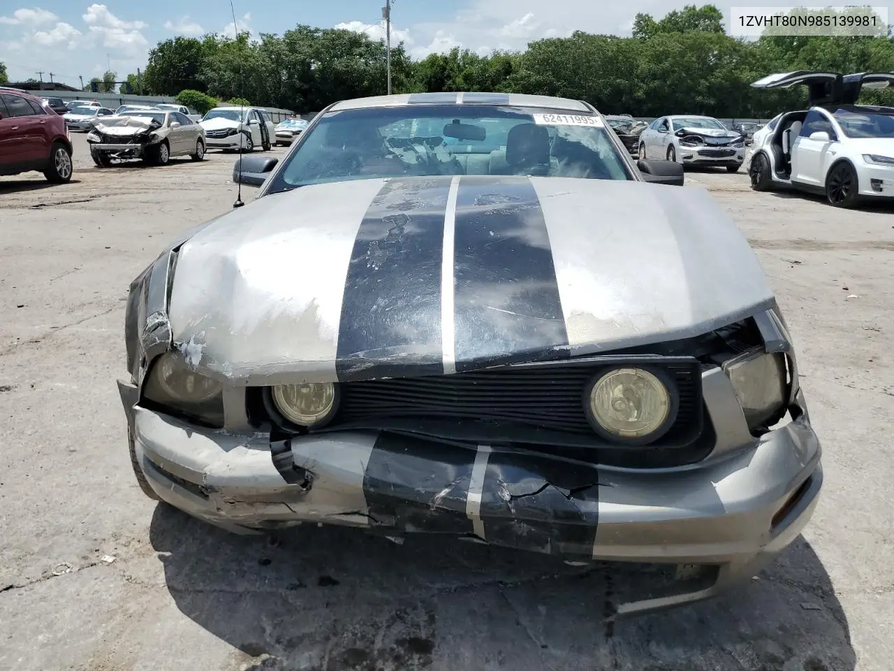 2008 Ford Mustang VIN: 1ZVHT80N985139981 Lot: 62411995
