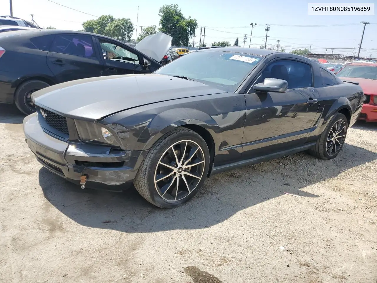 2008 Ford Mustang VIN: 1ZVHT80N085196859 Lot: 62763755