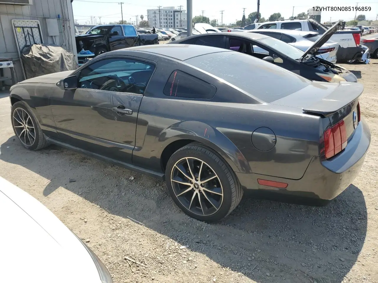 2008 Ford Mustang VIN: 1ZVHT80N085196859 Lot: 62763755
