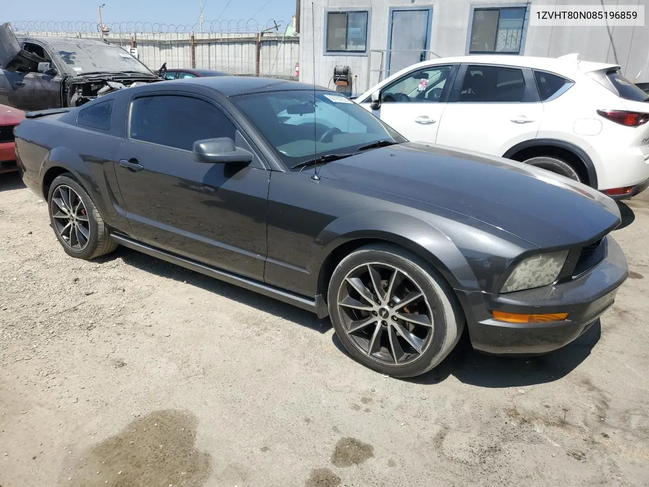 2008 Ford Mustang VIN: 1ZVHT80N085196859 Lot: 62763755
