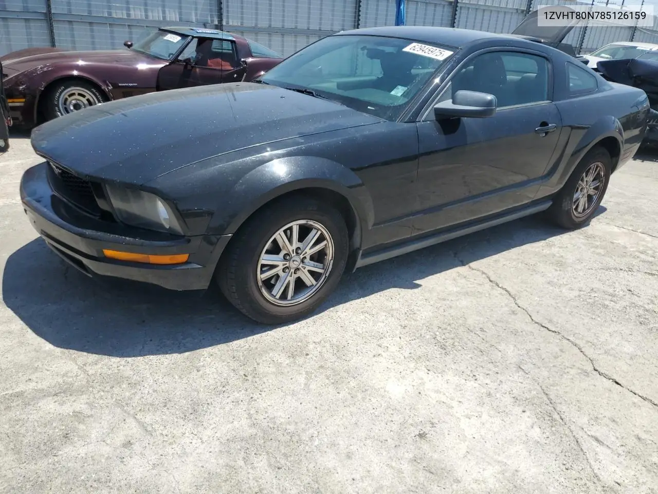 2008 Ford Mustang VIN: 1ZVHT80N785126159 Lot: 62945975