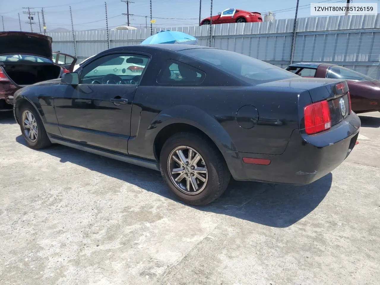 2008 Ford Mustang VIN: 1ZVHT80N785126159 Lot: 62945975